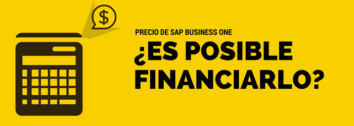 ¿El precio de SAP Business One puede ser financiado?