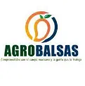 sap-business-one-agrobalsas